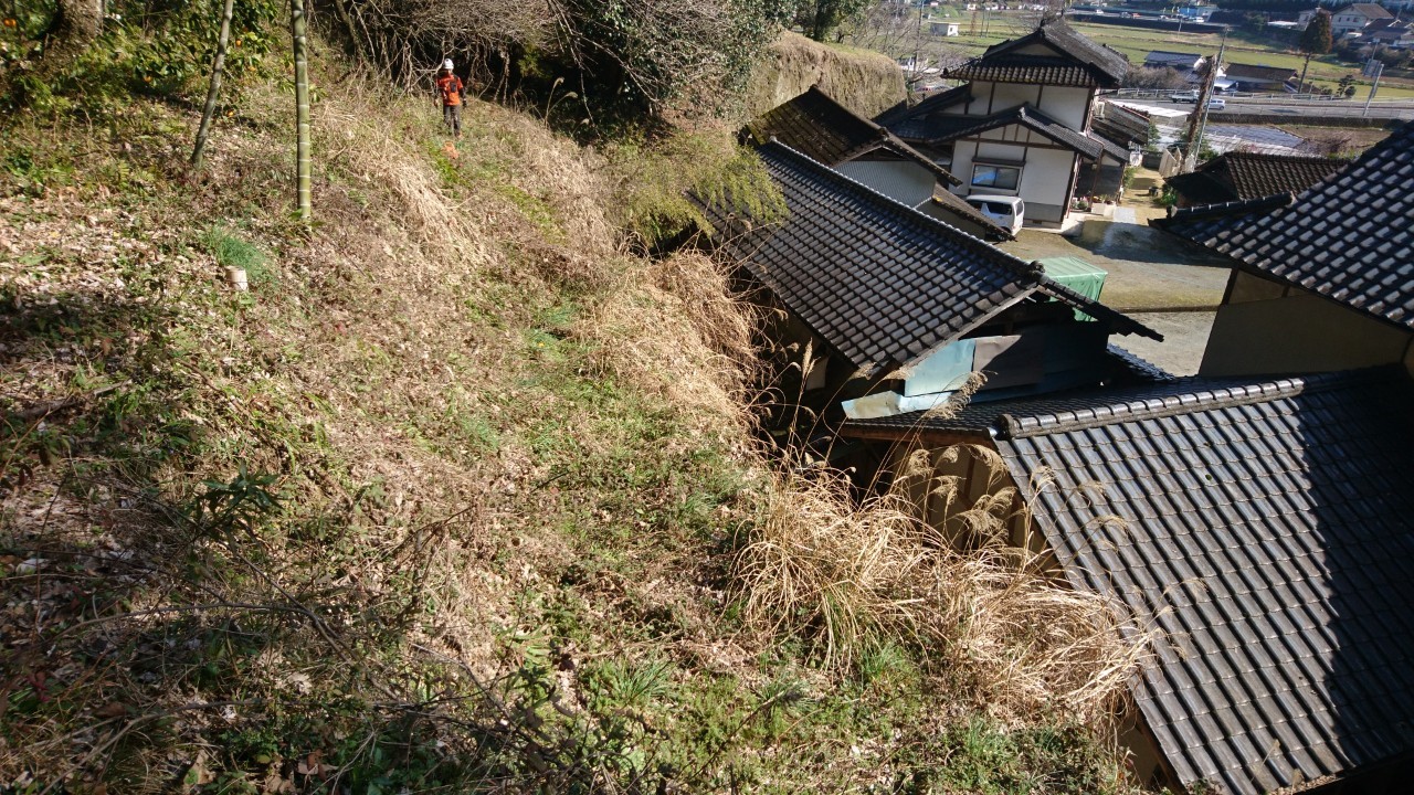 壁面の上にも広い敷地があります。こちらも除草と竹の伐採を行います。