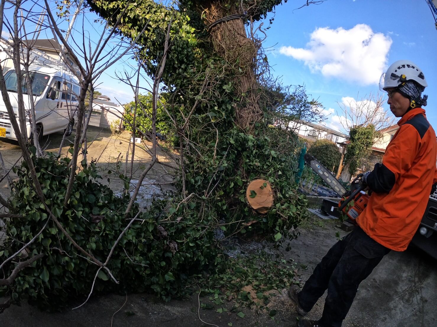 集材場所へ到着。搬出作業を行うために大きな幹を捌く郡