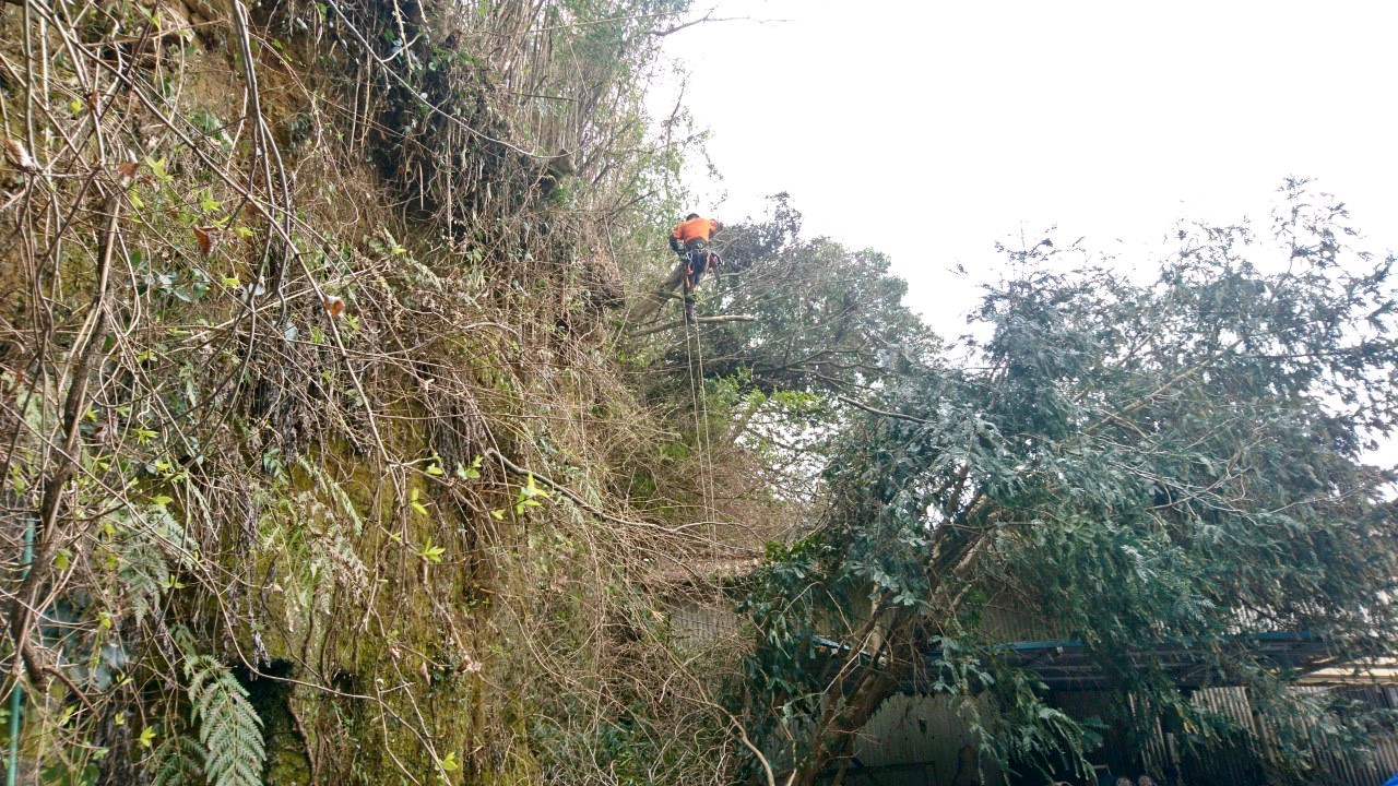 真下に位置するカーポートやお隣の小屋に注意しながら作業を進めていきます