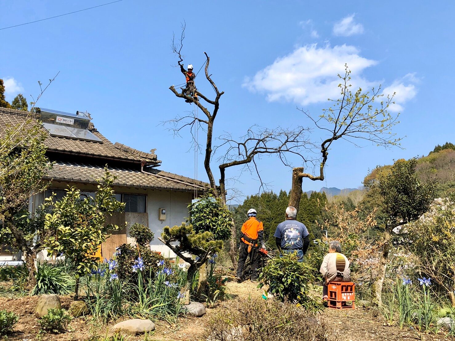 お客様が見守る中、少しづつ高さを下げていきます。