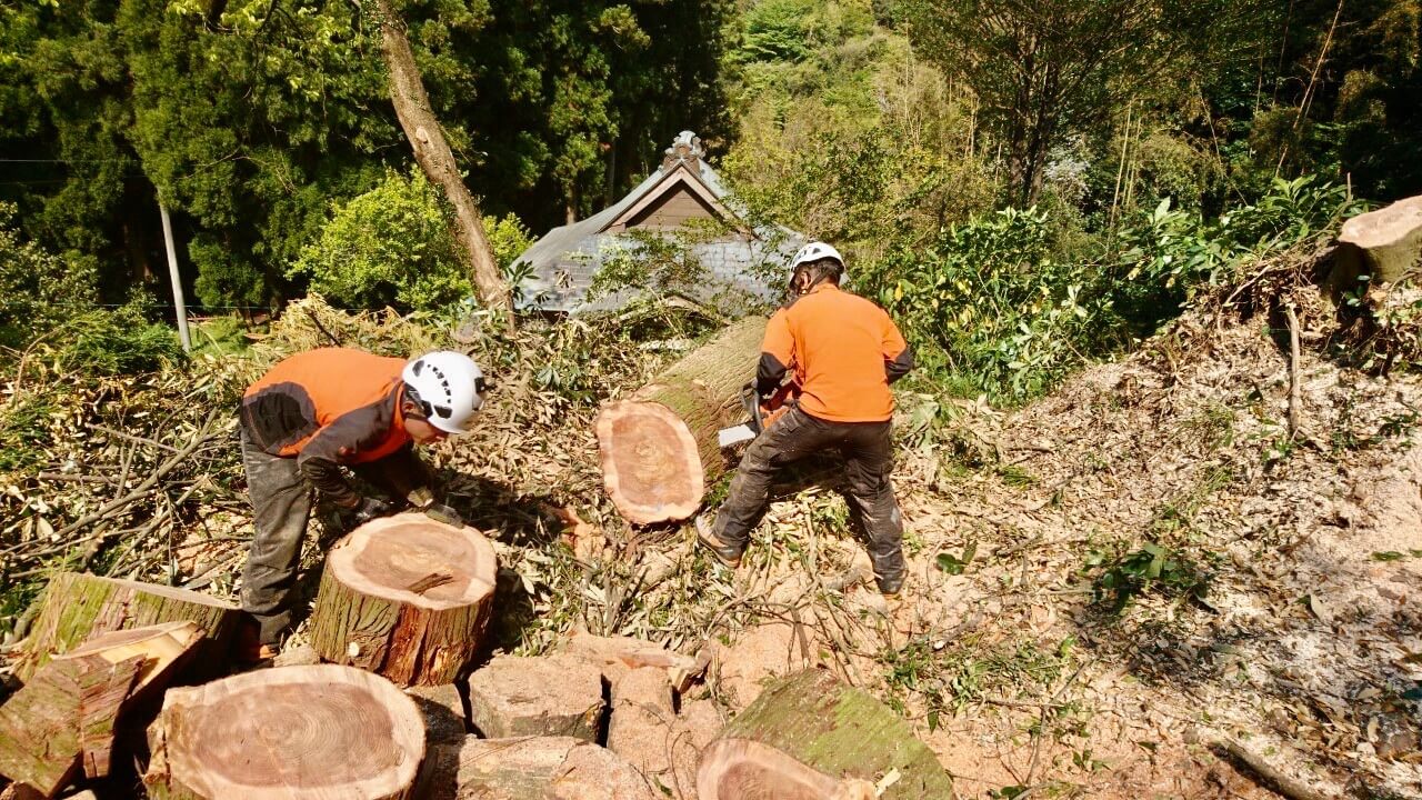 集材作業を行う田嶋(左)山本(右)