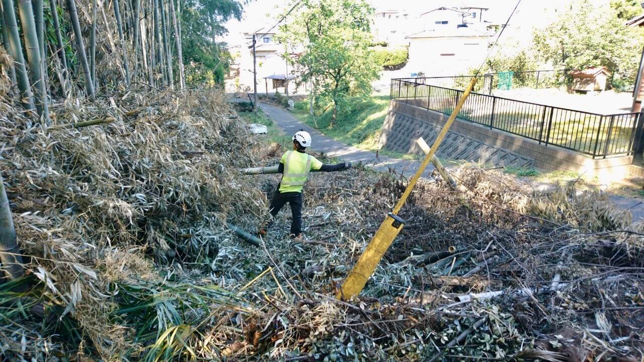 竹は現場に残置するため。同じ長さに切り揃えて綺麗に集材作業を行っていきます。