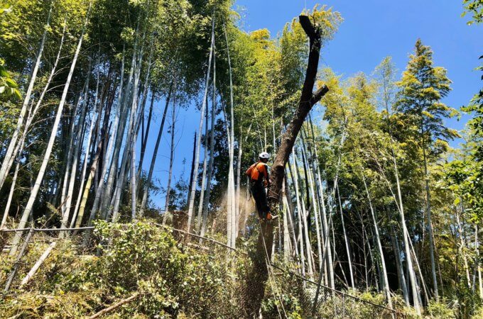 吊り切りを行う田嶋