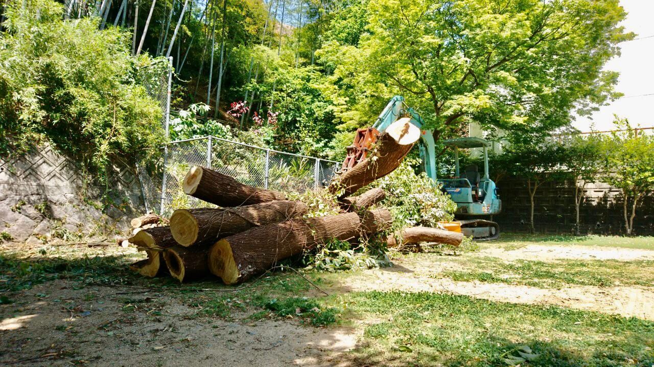 大きな幹や枝葉を一か所に集材。伐採が終わり次第、搬出を行います。