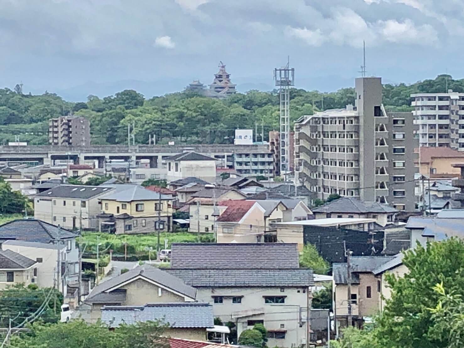 樹上からはなんと熊本状が綺麗に見えていました。