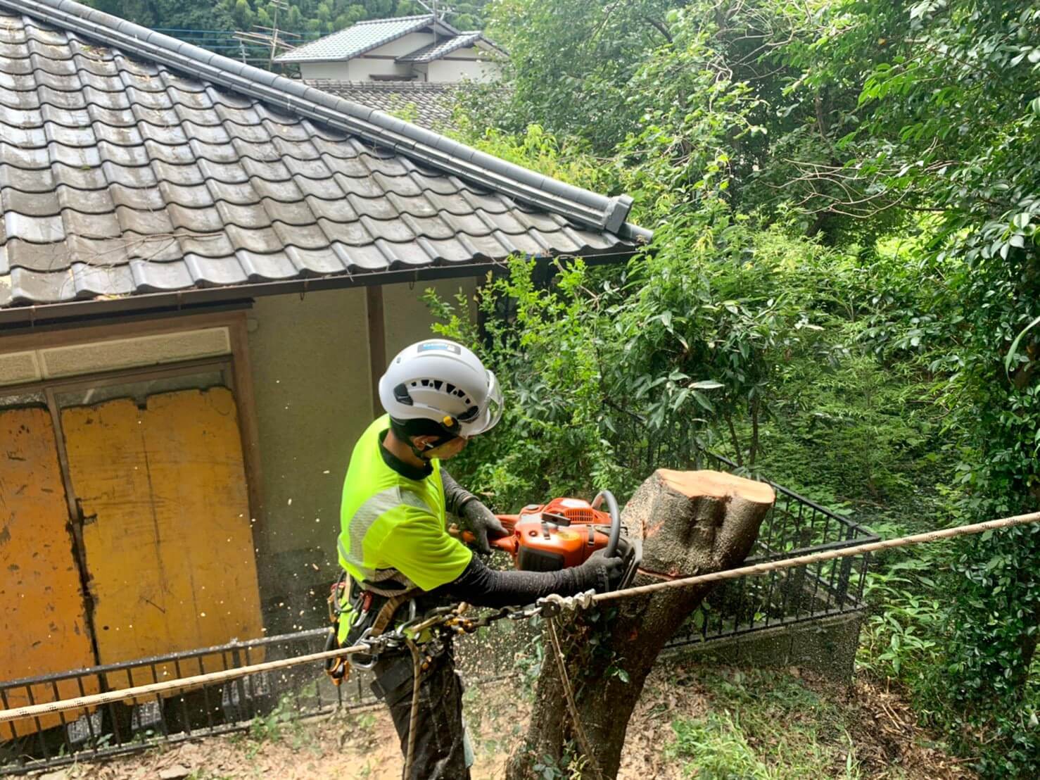 枝葉が終わり、幹の断幹作業へ。身長に小さくコントロールできる大きさで切り落としていきます。