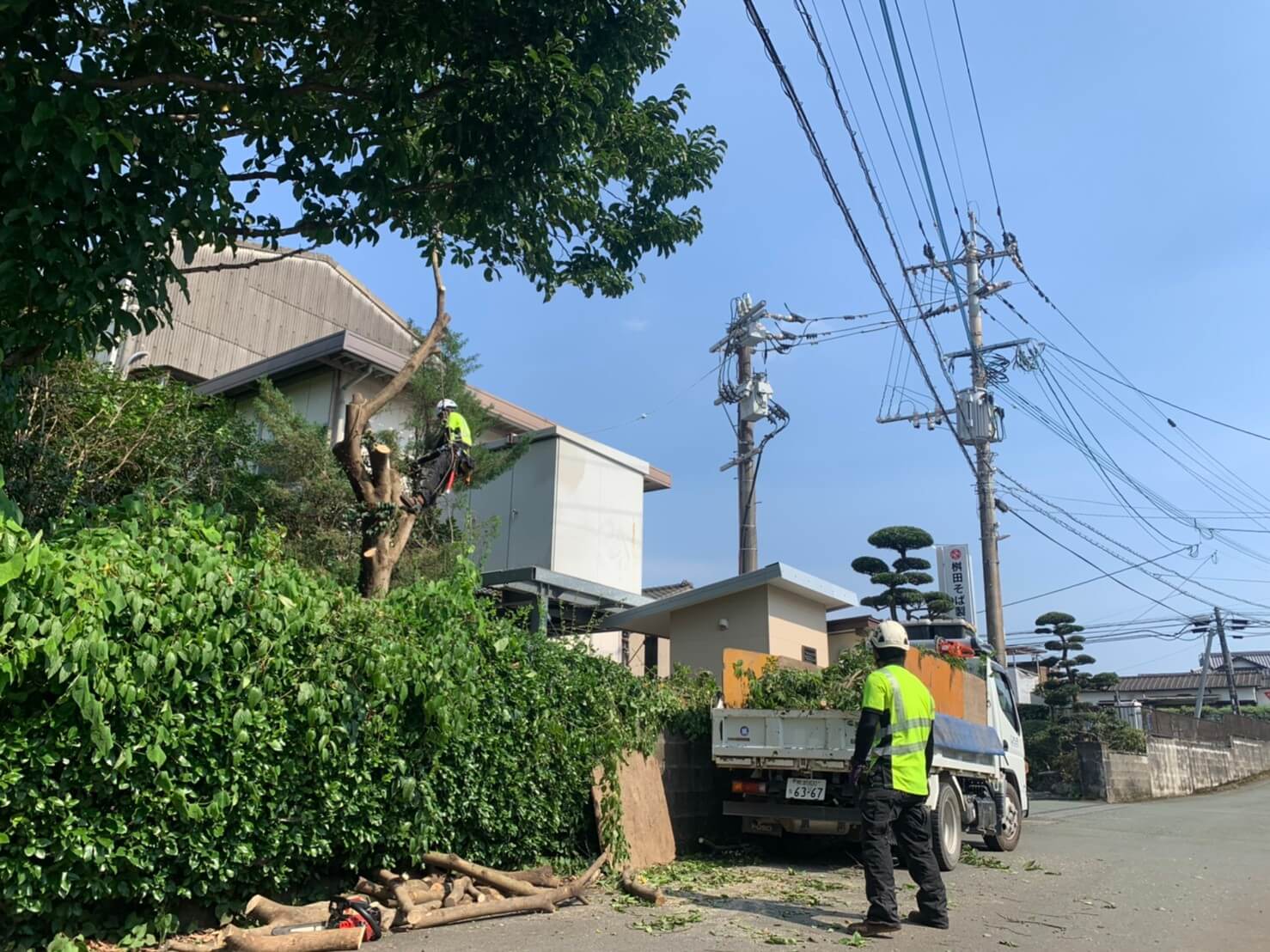 常に注意を払いながら、道路の警戒、枝の積み込みを行うスタッフ藤本