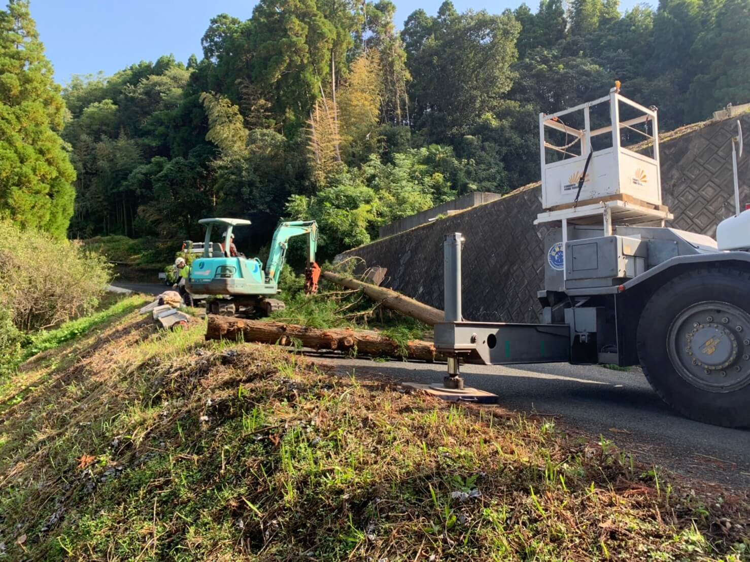 枝葉と幹部分に切り分ける作業を進める代表山本とスタッフ藤本。