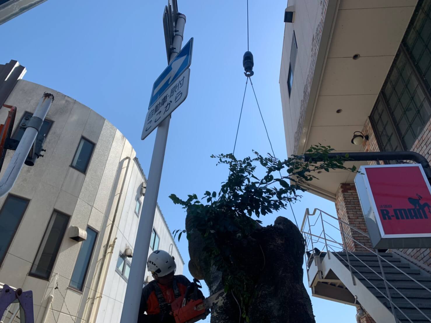 お店の看板、ビル、標識、自販機等、様々な構造物に注意しながら根元まで切り下げます。