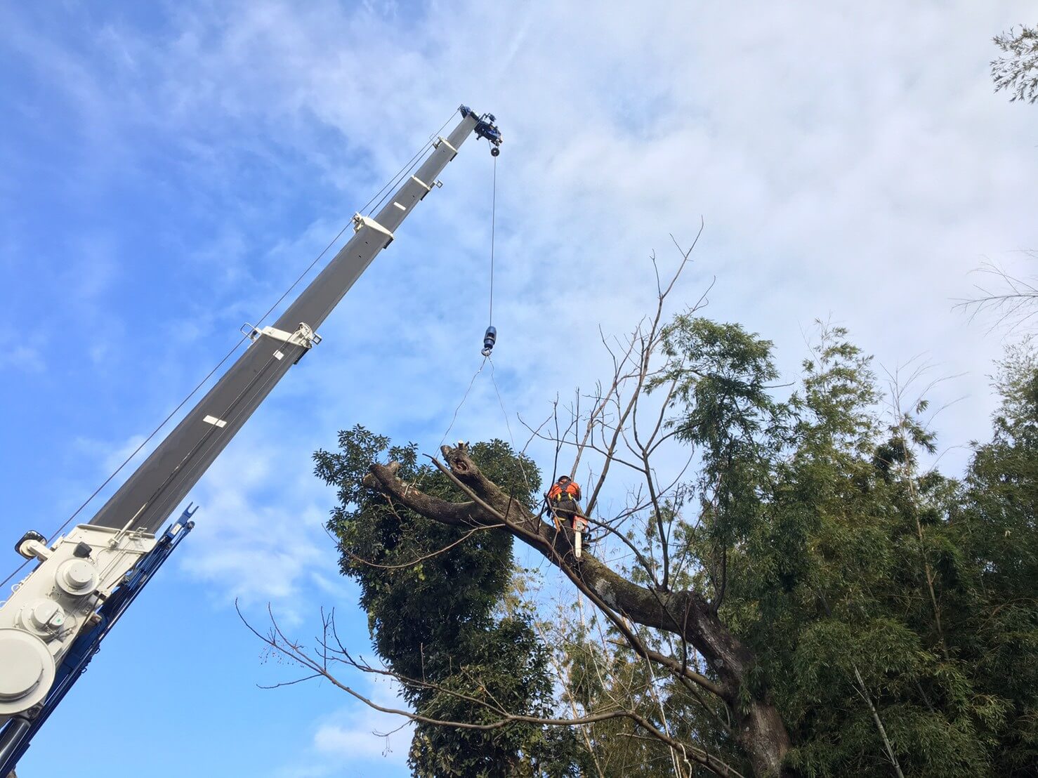 クレーンはいつもお世話になっているクマモトラフテレーン様。