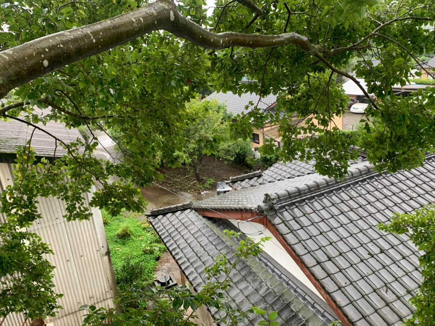 枝の真下には瓦やトタン屋根があるため、作業は慎重かつスピーディーに