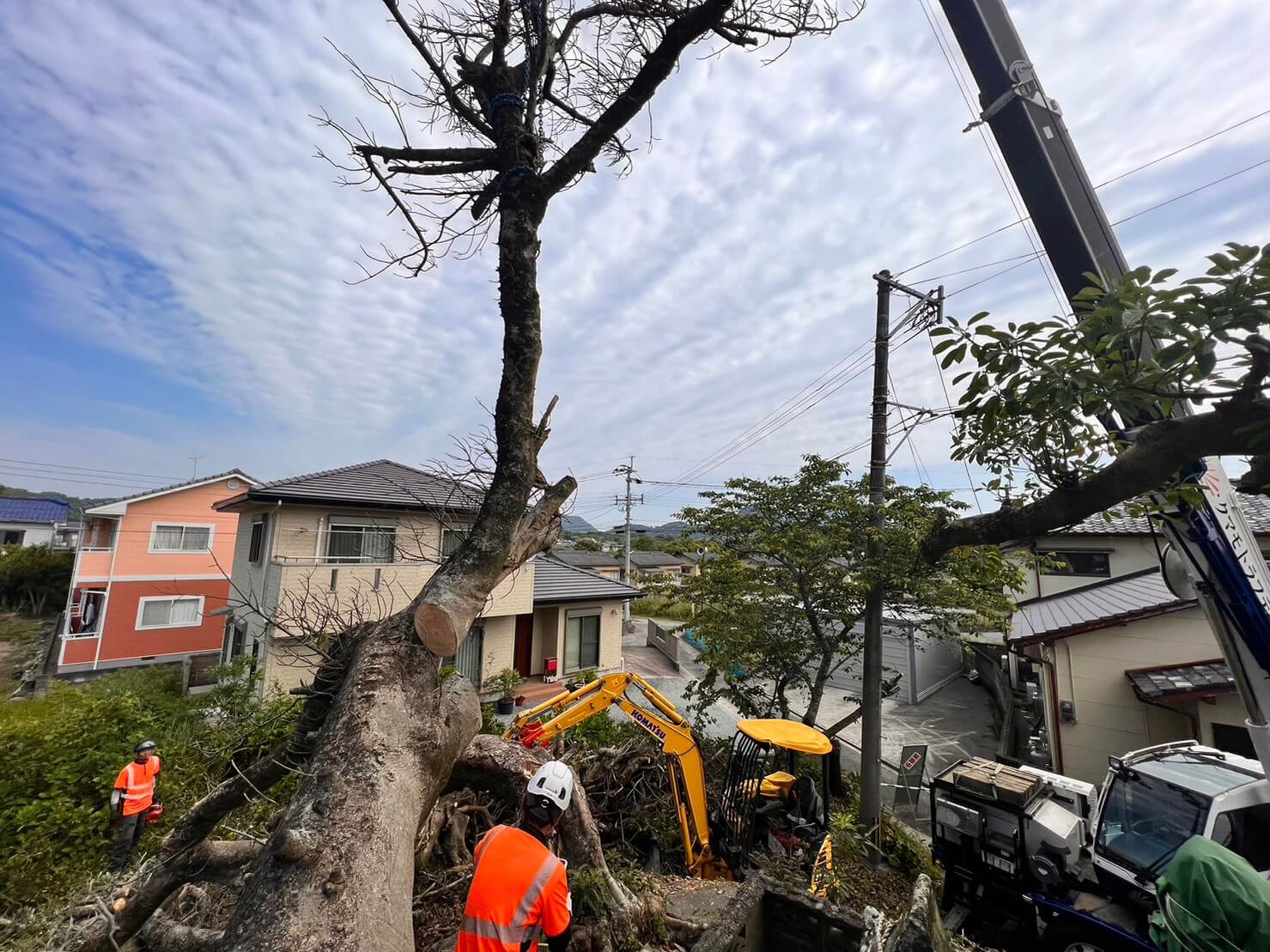 そして作業は進み...