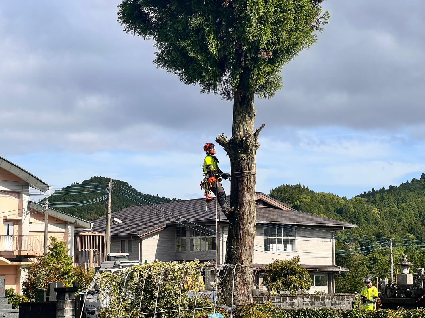 登る際にも地上から見る木の重心や枝の付き方を参考にしながらどのように伐採を行っていくかをイメージしながら登ります。