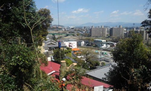 特殊伐採_剪定_伐採_造園_熊本a56862_6fc103c7116741b49af6fe533e43885a_mv20377