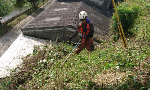 特殊伐採_剪定_伐採_造園_熊本a56862_763da95095454abc8f0cde8c269290ba_mv20227