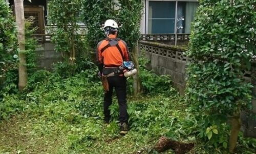 a56862_d69c5629c15b4cb1ada95b18c4e70c4e_mv2 (1)