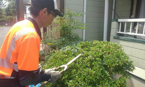 特殊伐採_剪定_伐採_造園_熊本a56862_0303b0d2d6644df98378cc3f5c4aa826_mv20004