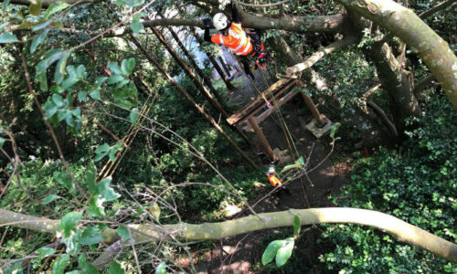 特殊伐採_剪定_伐採_造園_熊本a56862_3bcce28a2f8f479db723d6b8c746e583_mv20229