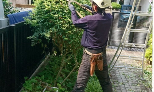 特殊伐採_剪定_伐採_造園_熊本a56862_966590505e6a4d6d924283c90c051aeb_mv20315