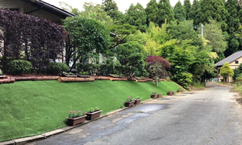 特殊伐採_剪定_伐採_造園_熊本a56862_d19230bb010947ddbf9bfed178c6fa74_mv20008