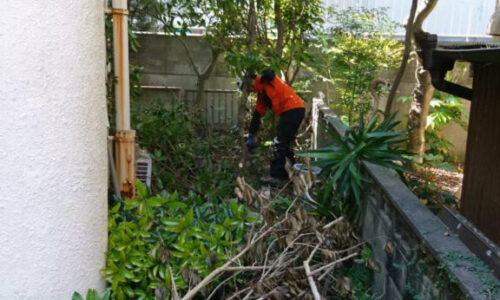 特殊伐採_剪定_伐採_造園_熊本a56862_483d397afb9749e09dbb5b878daa3d11_mv20078