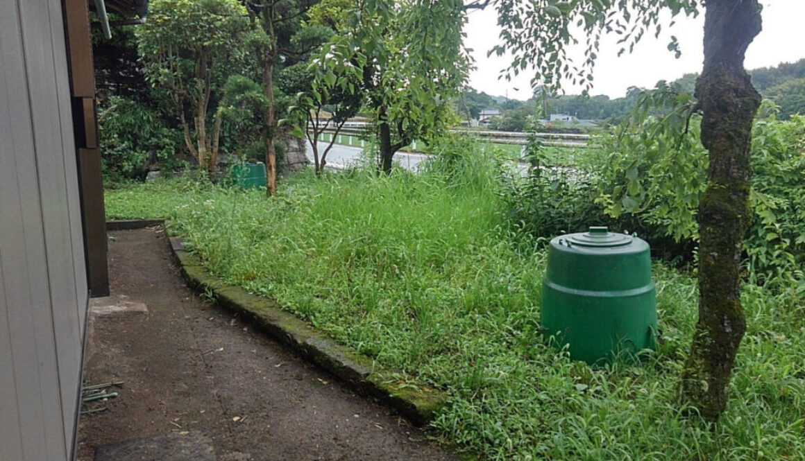 除草前