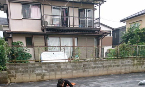 特殊伐採_剪定_伐採_造園_熊本a56862_b080c56db5904e33b037e88b1b4c3e3f_mv20130