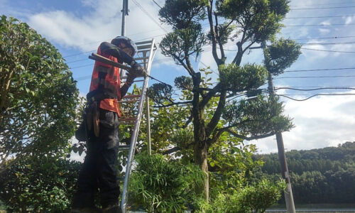 特殊伐採_剪定_伐採_造園_熊本a56862_c5de00f8293743f581b033fce65533ca_mv20287