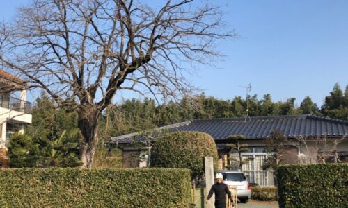 a56862_debf11c7fe294fa09838d2500ebd11c0_mv2