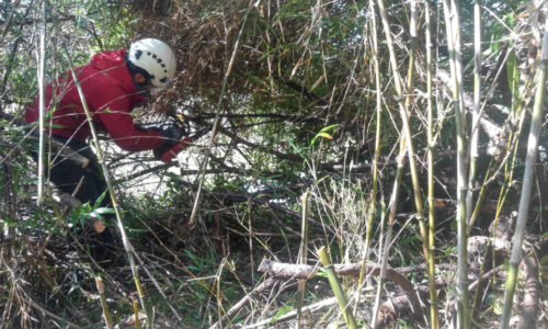 特殊伐採_剪定_伐採_造園_熊本a56862_0ffd2b189bb44aae8f4b7cf1456cf2f8_mv2_d_2730_1536_s_20124