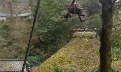 特殊伐採_剪定_伐採_造園_熊本a56862_22ed7e8b42364be3a2b476c43ada145b_mv2_d_1536_2730_s_20051