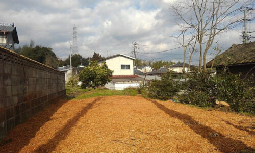 特殊伐採_剪定_伐採_造園_熊本a56862_84aee28a404f45729a88321894fba7e3_mv20186