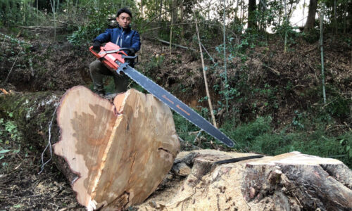 特殊伐採_剪定_伐採_造園_熊本a56862_ed661fa8b19a48ce899e2aa8bfb67738_mv20195