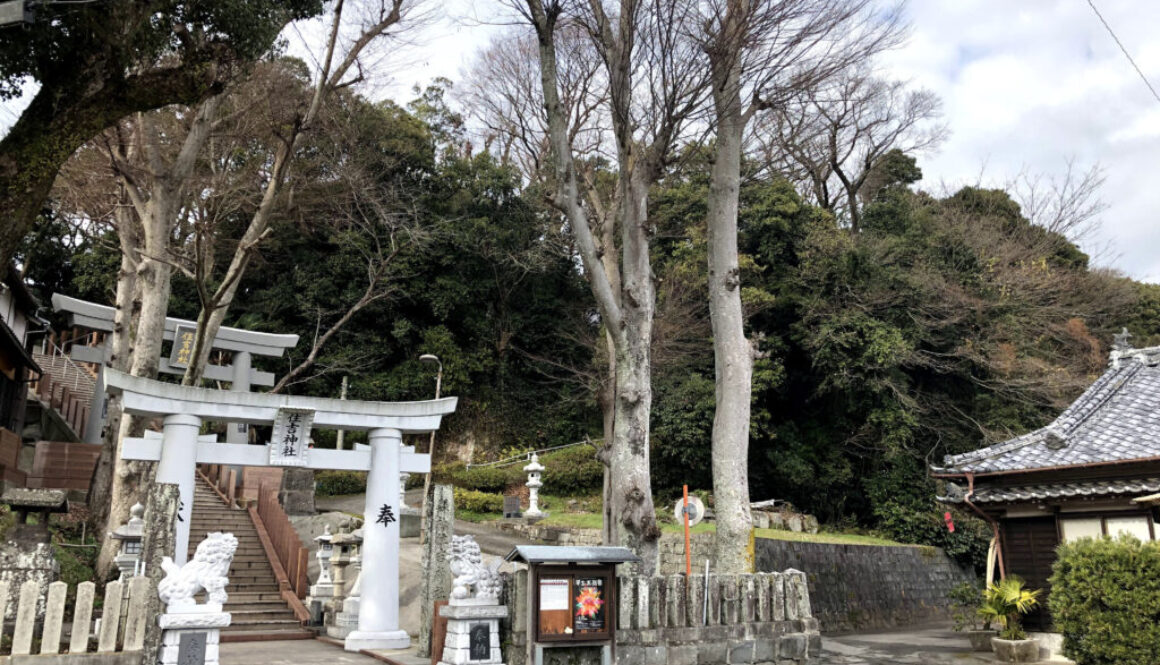 特殊伐採_剪定_伐採_造園_熊本f94278_af02c0c776d646deacaf78d65c0cc770_mv2_d_4032_3024_s_4_20421