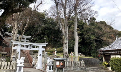 特殊伐採_剪定_伐採_造園_熊本f94278_af02c0c776d646deacaf78d65c0cc770_mv2_d_4032_3024_s_4_20421