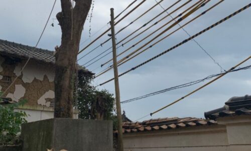 特殊伐採_剪定_伐採_熊本_a56862_814ab99f86224b54887644890ab91526_mv2