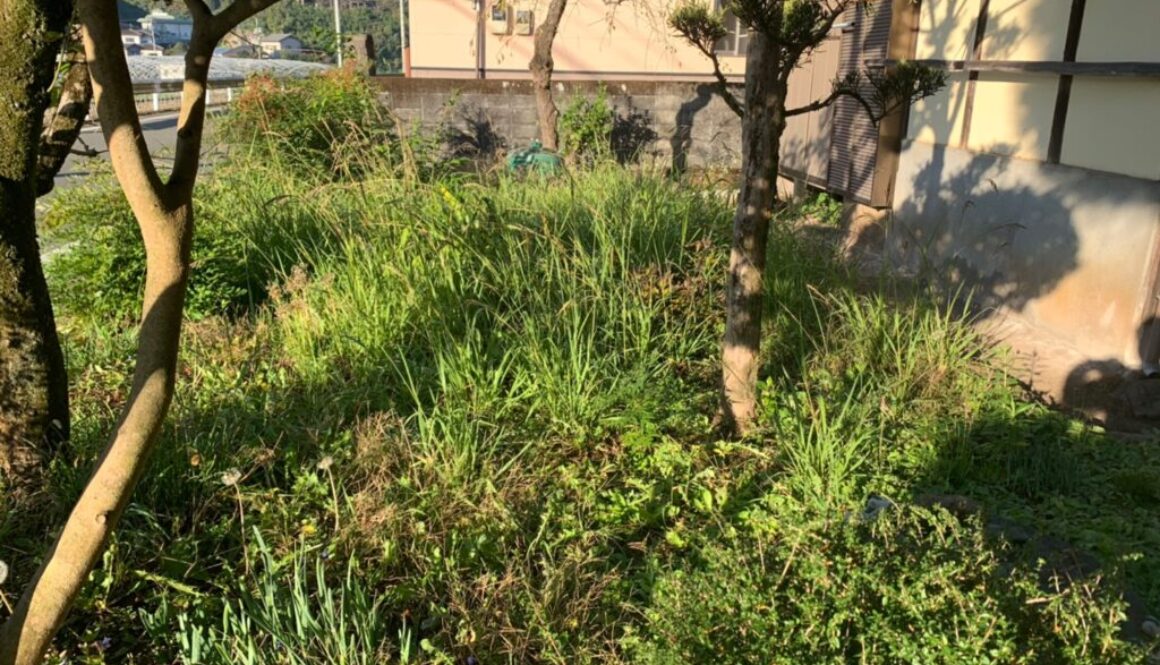 特殊伐採_剪定_伐採_熊本市北区貢町_a56862_d35ba76fe13d43a5b423826d20cbc6c8_mv2