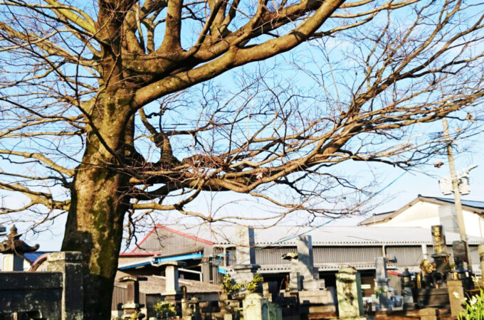 神社やお寺・墓地 神社やお寺・墓地
