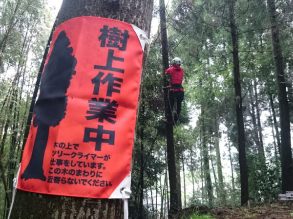 その他の樹木管理