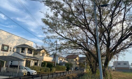 a56862_5b49d468e077450bb8ffd4f8099ded43_mv2 (1)