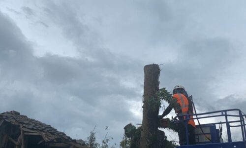 a56862_6fe2210d7fb74c6197d0163669da0021_mv2