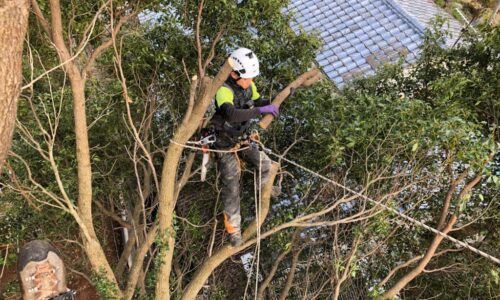 a56862_b07b9a3ec33240cd9d262d9fc8a13042_mv2_d_2364_1774_s_2