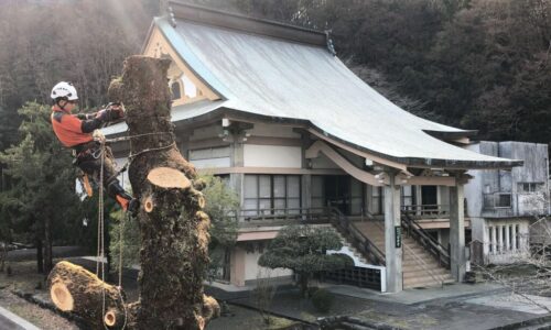 AF6FA742-C7B7-4C40-A74F-8A34BBB0729C