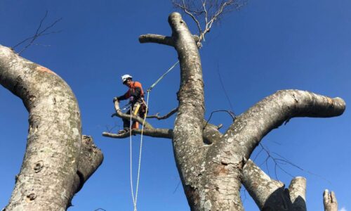 E5AE974F-DC54-406E-8114-5C0C30CF9ADB