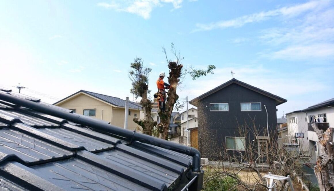 日枝_200307_0060