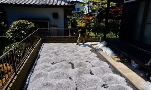 最後にムラが出ないように均一に敷きならしていきます