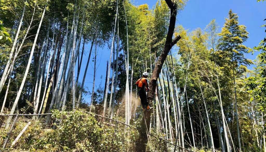 吊り切りを行う田嶋