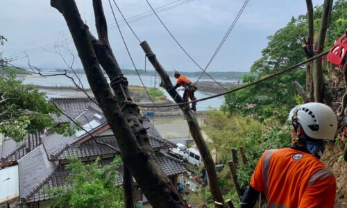 これだけ住宅側へ傾いた木も山猿では問題なく対応致します