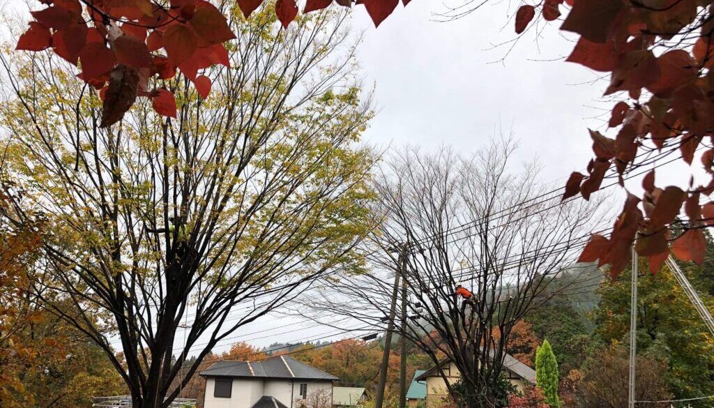 20201120南阿蘇村西村邸_201120_8