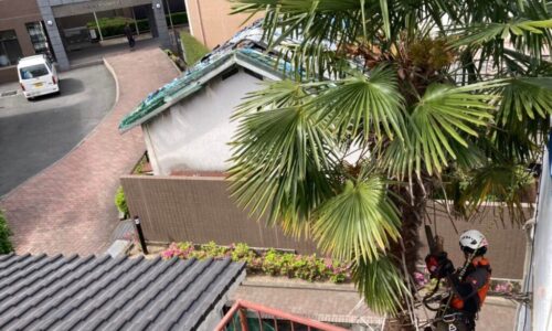 小谷邸　中央区西子飼町_210509_0